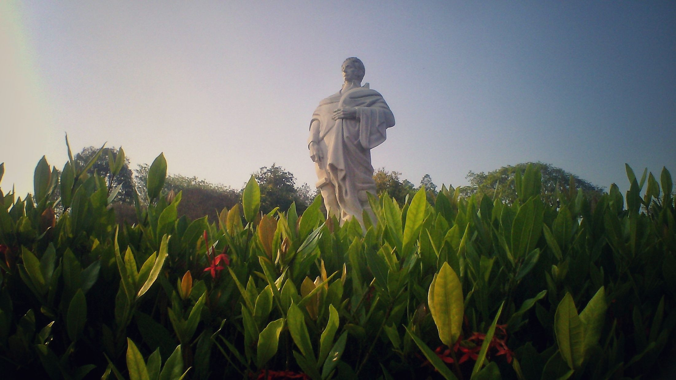 main_image
