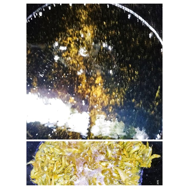 PhotoCollage_1697361967159.jpg