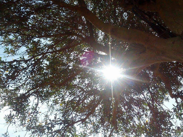 received_1684378384957423.jpeg