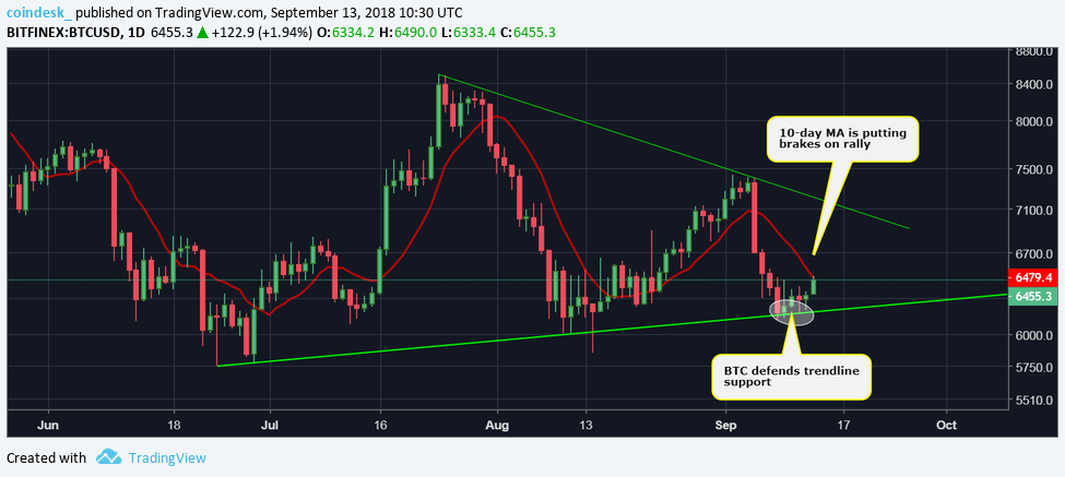 Lead trading. График тренда BTC/USD. Конец медвежьего тренда. Нисходящий тренд доллара. Bitcoin trend pattern.