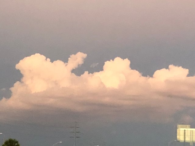 57AA1675-426D-47EA-842C-E4A84A92B922.jpeg