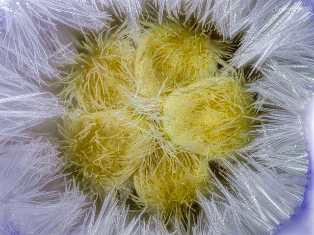 2022-03-24-14.22.04 ZS PMax_1_1_1.jpg