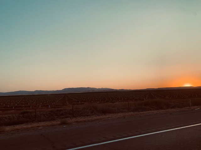 BDF14902-14A1-4969-BE39-E5A048818609.jpeg