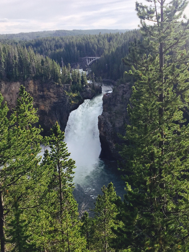 4F4F30C4-2778-418A-8F17-1205E6CA62D6.jpeg