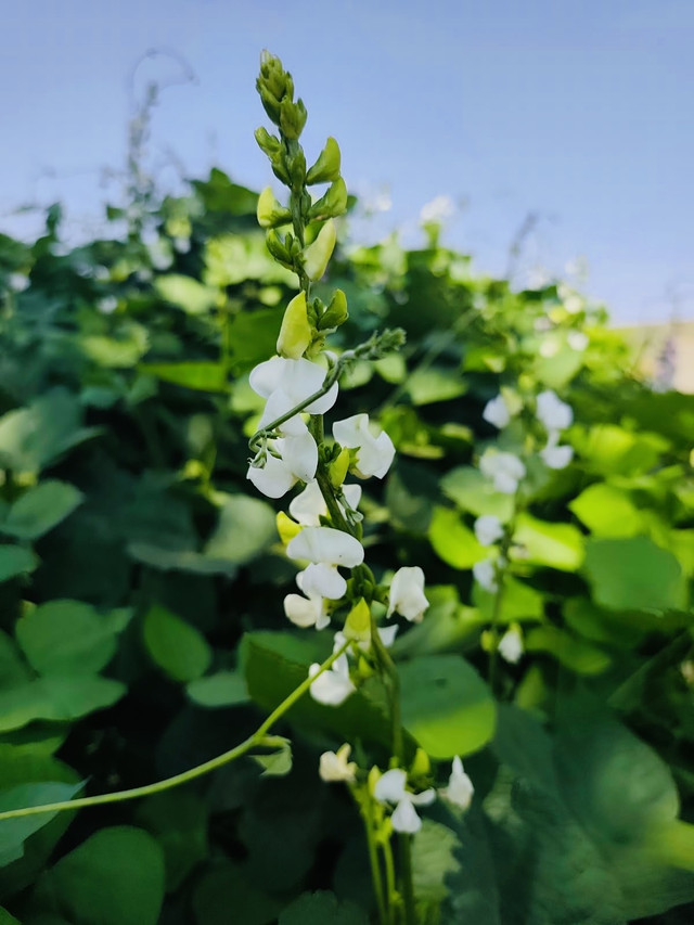 e8852c3d-d851-4503-9d39-c600e0754e1f.jpeg