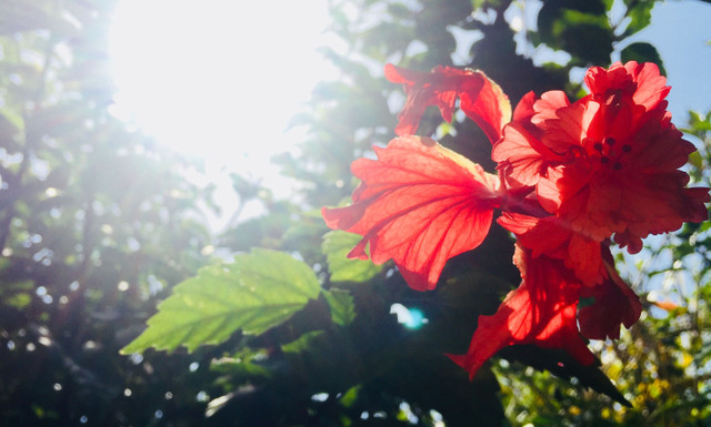 B5F94552-69F5-4190-AE13-DFCFCF359F9D.jpeg