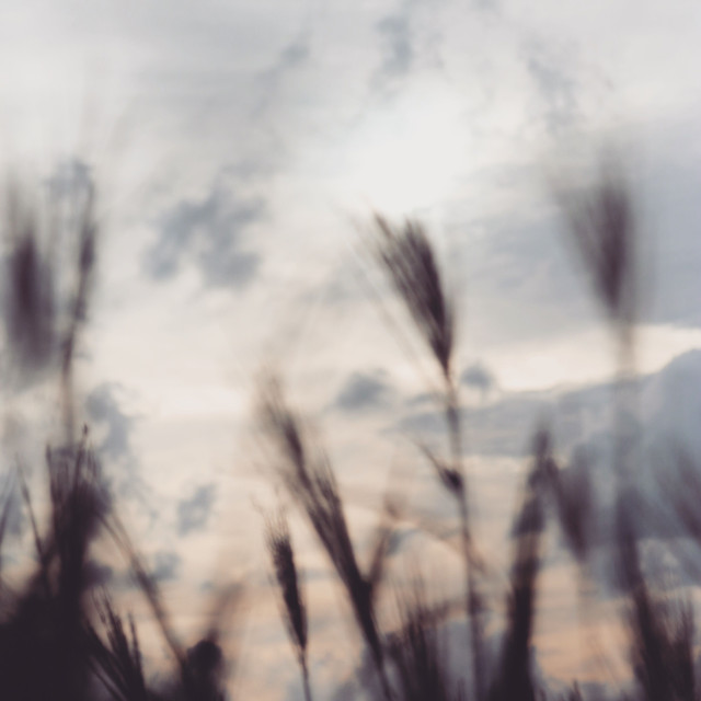 64DD6E90-6403-4CEF-A679-19F33CB446DD.jpeg