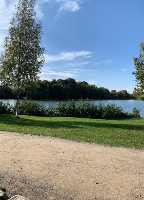 Kein Bild