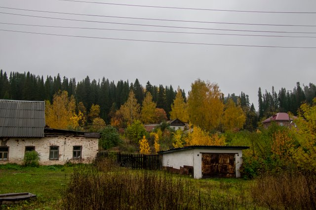 20221005 Утро_1.JPG