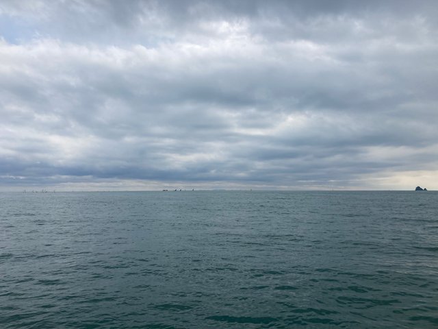 530B31FE-821A-47FA-9FE4-434664AFA58D.jpeg