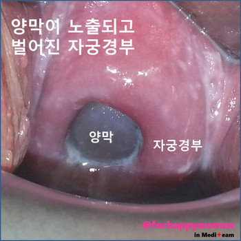 슬라이드4.JPG