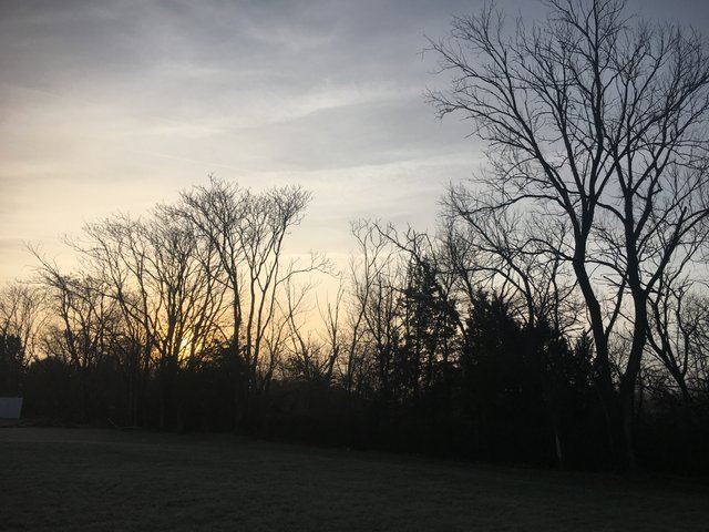 7A842FE3-559B-46B3-B215-ECAF5AD6D1E7.jpeg
