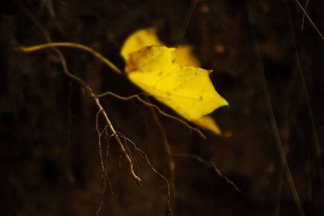 0013ccOctober 05, 2019 IMGP7729.jpg