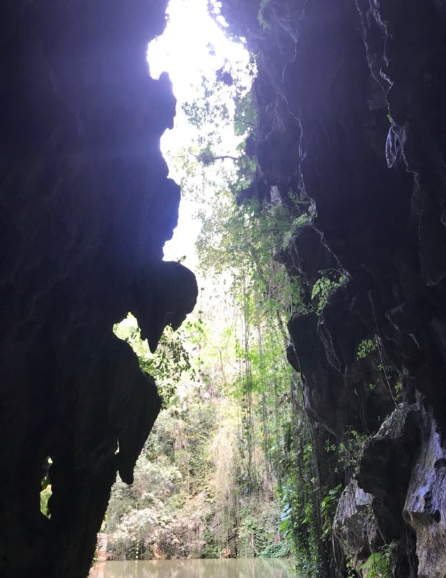 88A1A025-B0A0-4128-8E4F-955879754642.jpeg