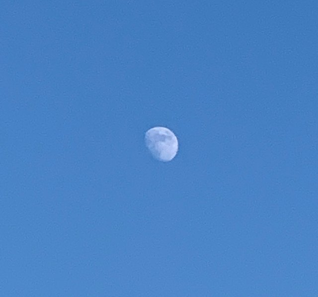 5B9CB78A-EB44-4290-9EFB-83AB13426DD9.jpeg