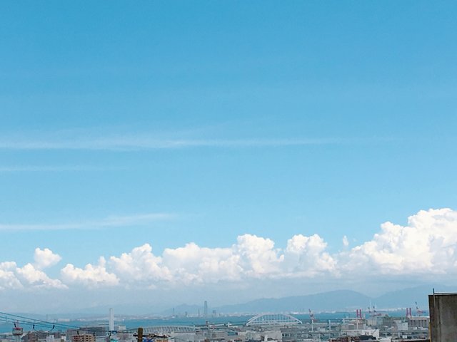 28D97DF1-8B61-43A8-B10F-DB98C4079B06.jpeg