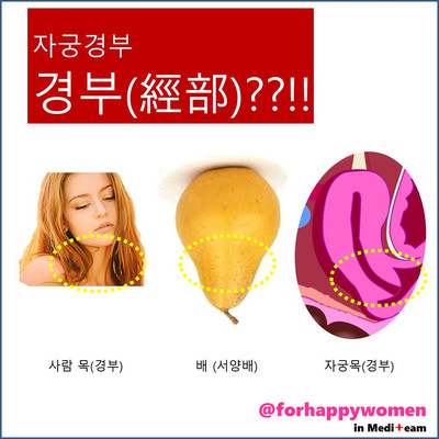 슬라이드2.JPG