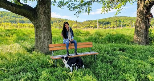 Kein Bild