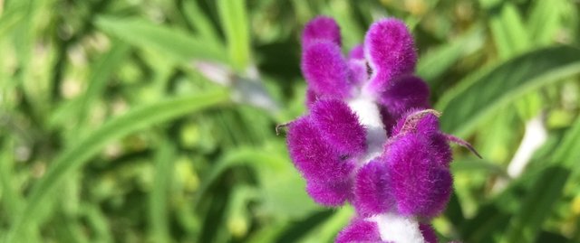 930EA8E3-C866-44DF-AB6C-377FDBA6D200.jpeg