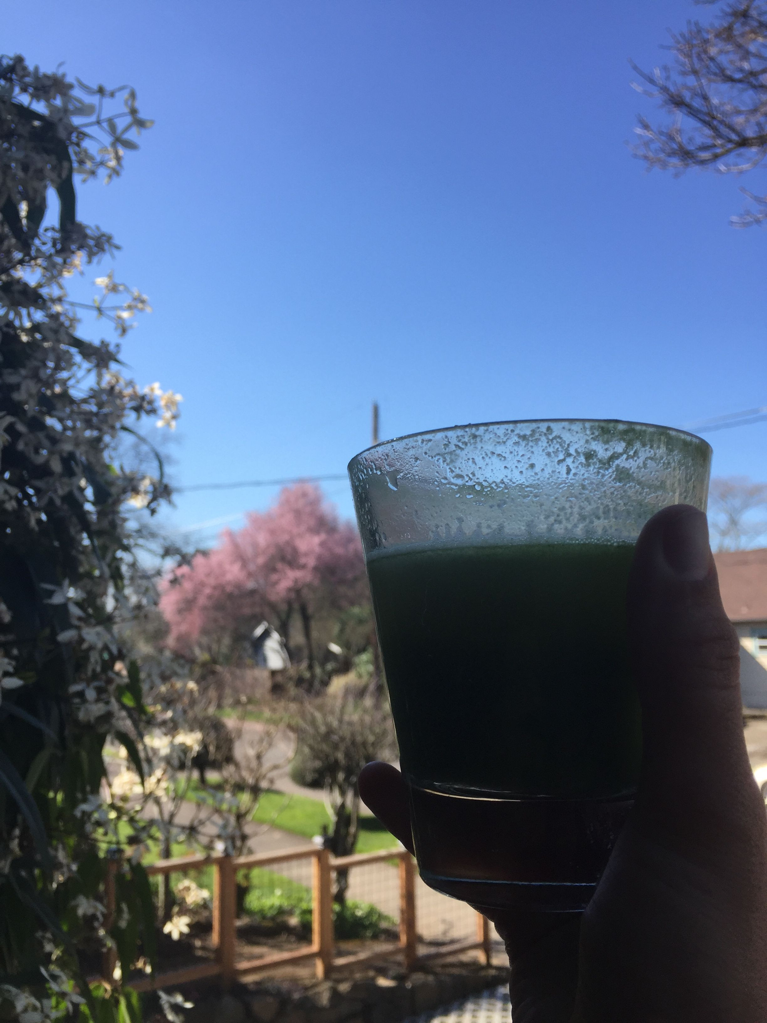 ED676317-BD5F-4EA6-BB40-FA851E7E4931.jpeg