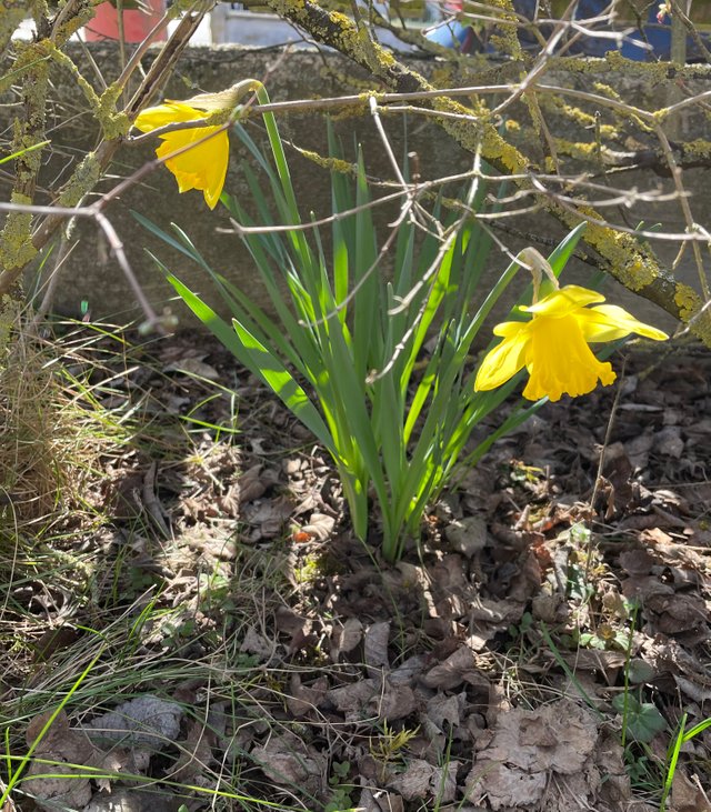 DF08877A-4FF9-457B-BD26-57CB0D6A63B4.jpeg