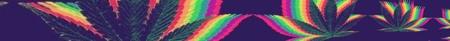 tumblr_p7d91rD56o1wwtjxoo1_500_mirror.jpg