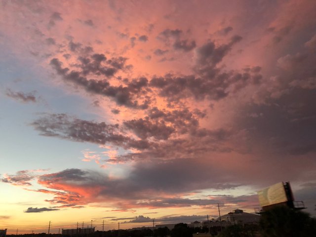 832AD00A-267D-4E5B-8BBF-298F6ECBC598.jpeg