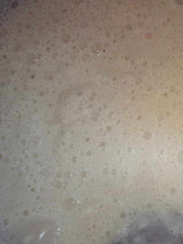 8162BCD2-5FA1-49DE-A8D5-92BCC99C5525.jpeg