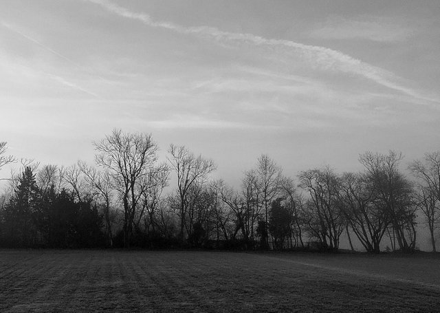 1AD2ADE9-AE1F-4674-AADB-CF50BCED5850.jpeg