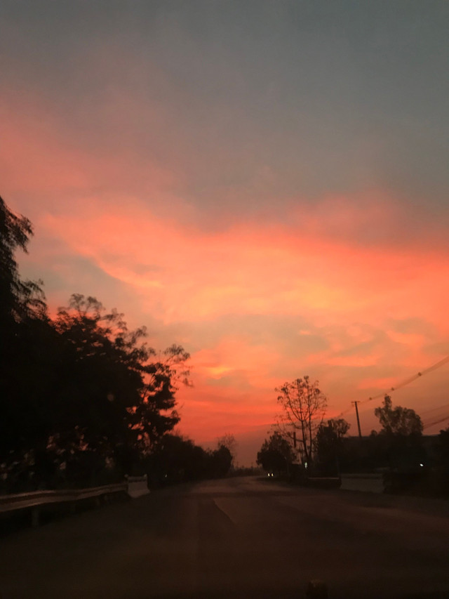 0ED116A3-A6EA-4F90-AD8B-91AFB48F280A.jpeg