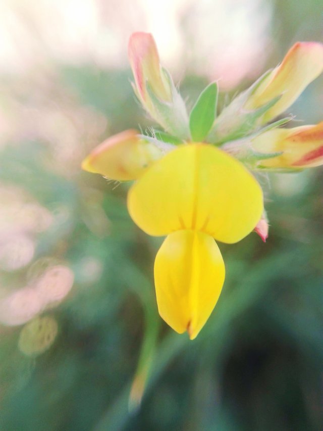 7C3D7647-80FB-4007-97A6-5738C57AFFE0.jpeg