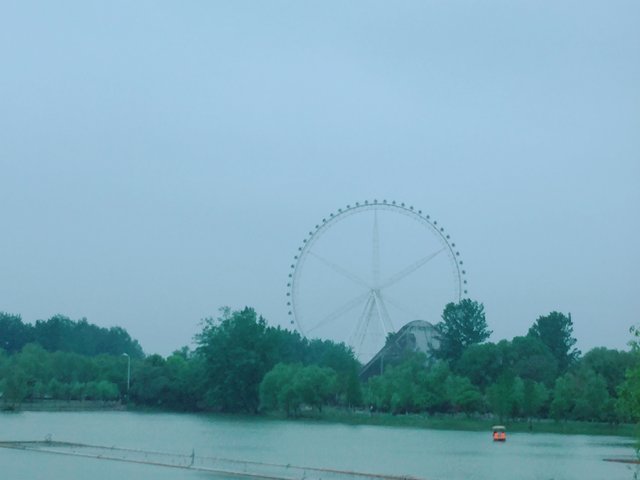 2BA45BD2-450B-49C0-BE9D-44E67A7A53D1.jpeg