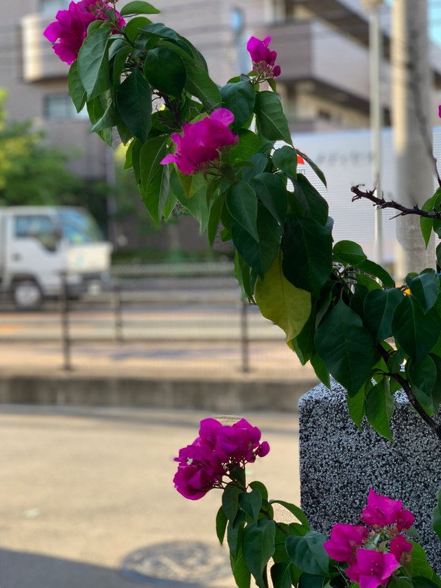 58D57FC2-FEA7-47A4-A02B-BC5F9253BDB2.jpeg