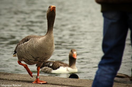 Kein Bild