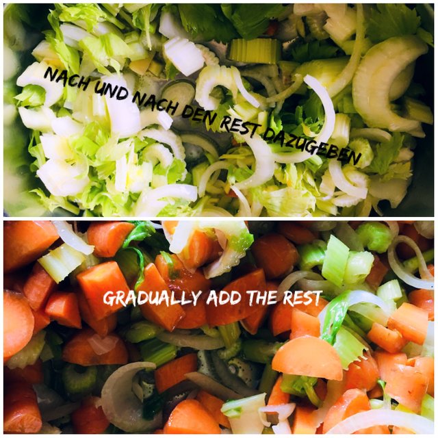 554050BA-AE9C-4A23-9A16-5696F1F4E6E2.jpeg