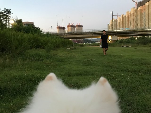 AF5319FA-4A11-47F5-8C38-C35F801EE71B.jpeg
