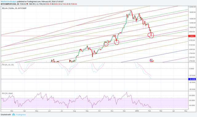 Btc FEB 5 INTERMEDIARY BOTTOM.png