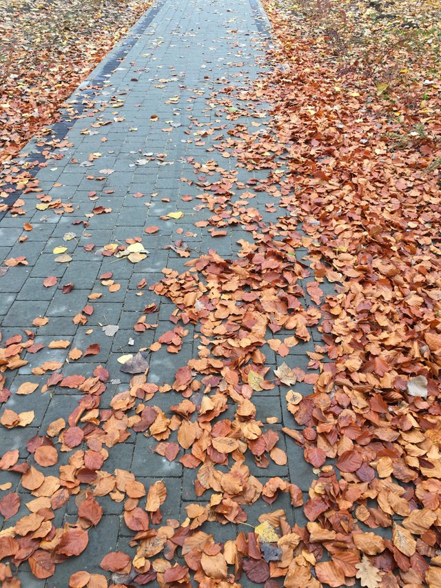 2C58ABDF-10AA-4B95-9AA2-A5E37877507B.jpeg