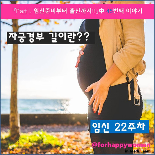 슬라이드1.JPG