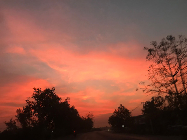 29A86512-E3A0-438C-A22A-28EC74E3A9D8.jpeg