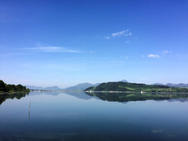 40C56017-E048-4FEE-8169-C52069366710.jpeg