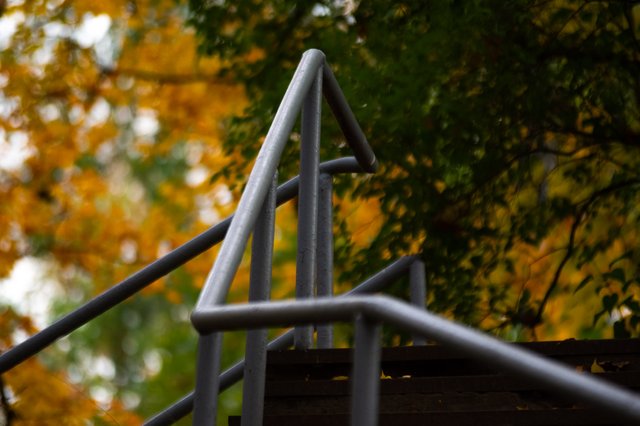 0016ccOctober 05, 2019 IMGP7733.jpg