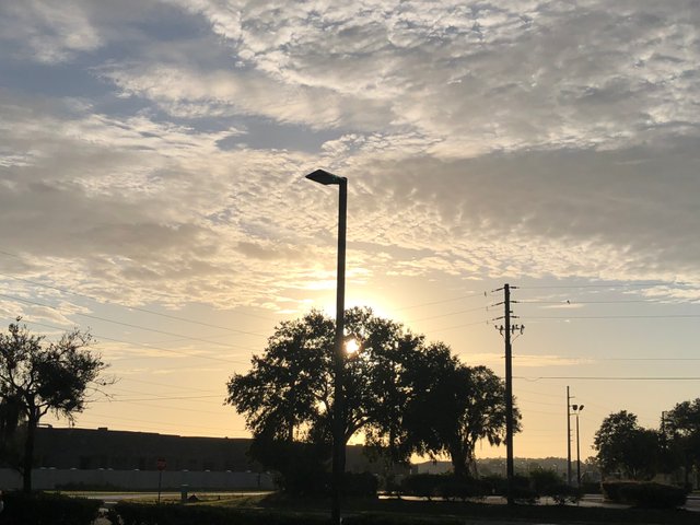 CA6142DC-21D0-472E-A799-DA14BA4D3E9D.jpeg