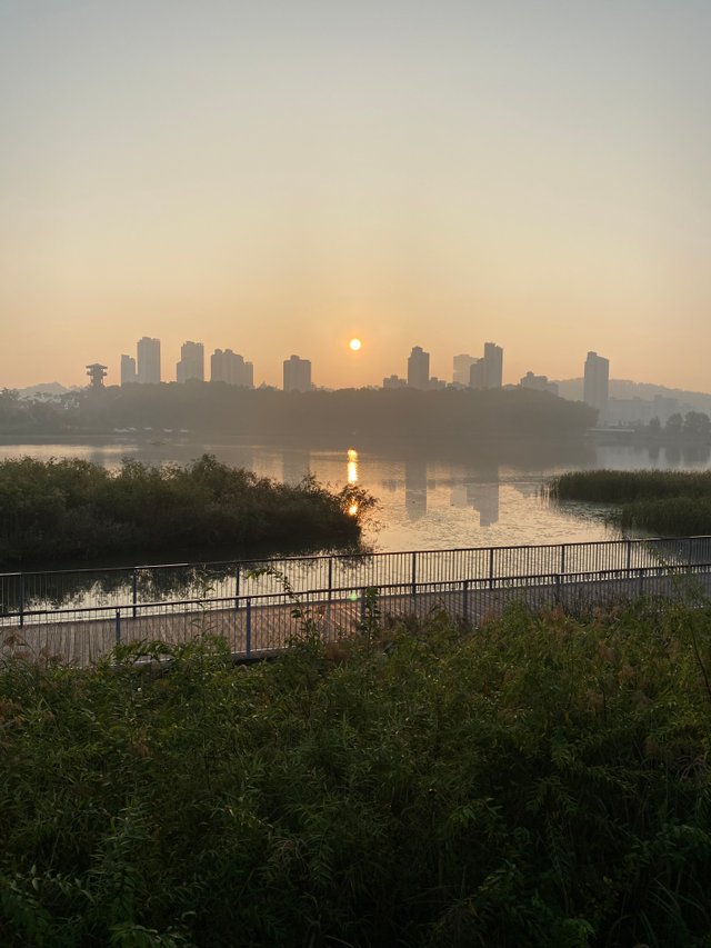 01C804AC-807A-41E7-ACA6-A678D6372E25.jpeg