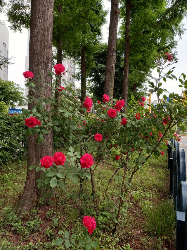 0B4B545D-DF49-4C89-83D9-B39767C36F65.jpeg