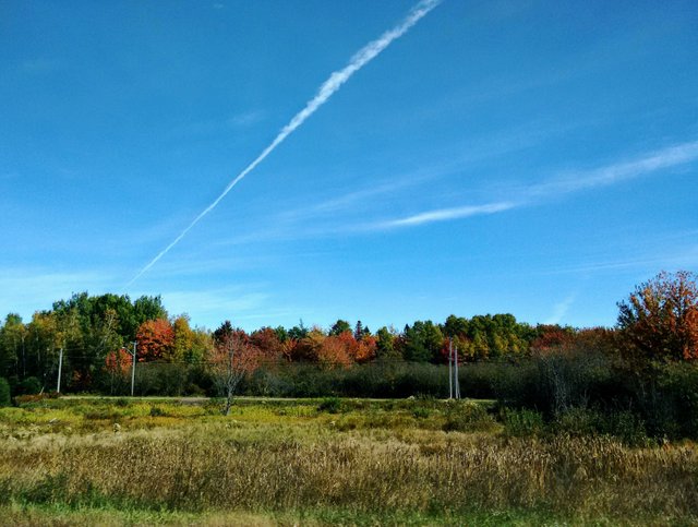 509B5233-A9EE-459B-9F4D-4812021809F1.jpeg