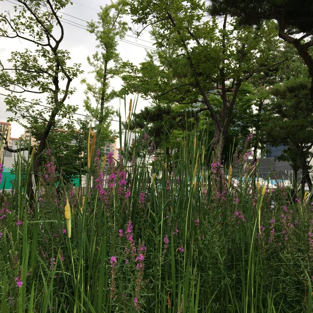 D33464EF-AC82-4EE6-B4F8-689F94460840.jpeg