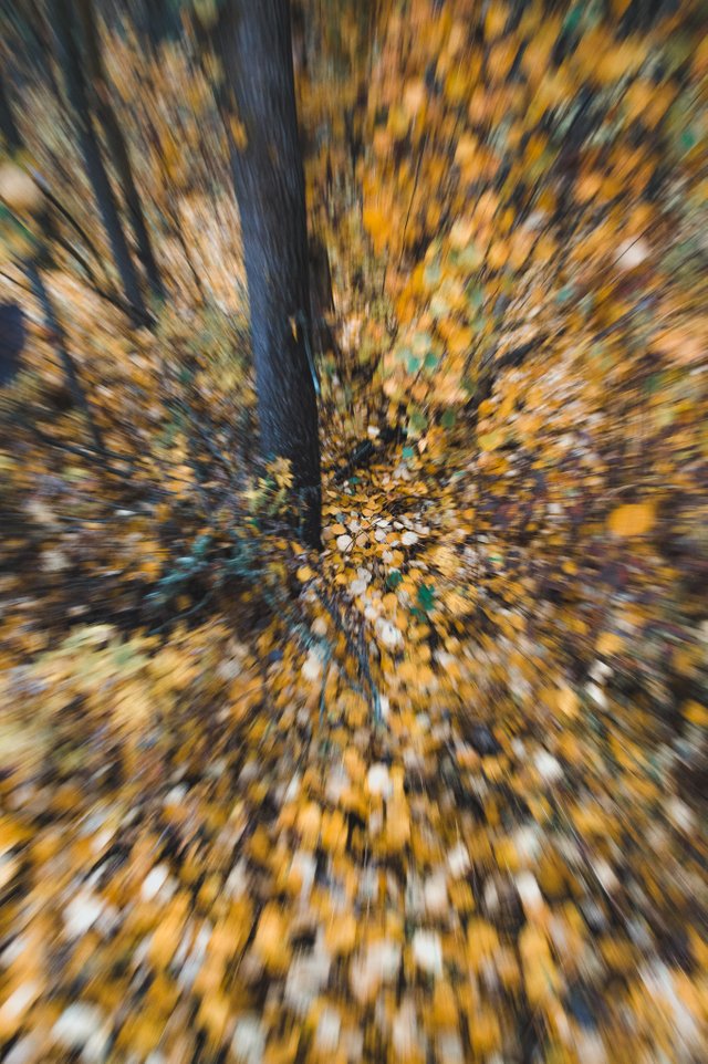 0002ccOctober 19, 2019 IMGP8961.jpg
