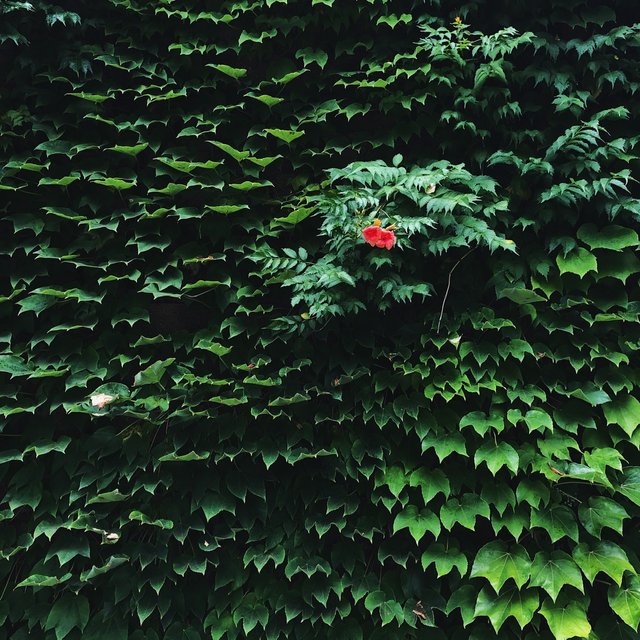 1003F083-58E7-490F-88A3-D916CAAA2EB2.jpeg