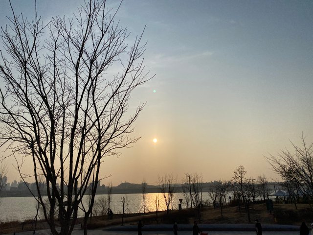 72CFDC75-8C1D-4234-946B-43ED6D6D6F30.jpeg